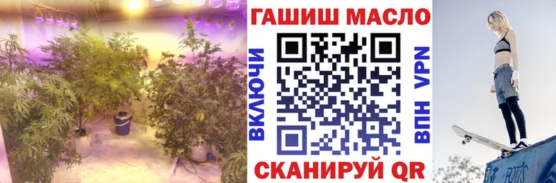 Дистиллят ТГК гашишное масло  хочу   Полярные Зори 